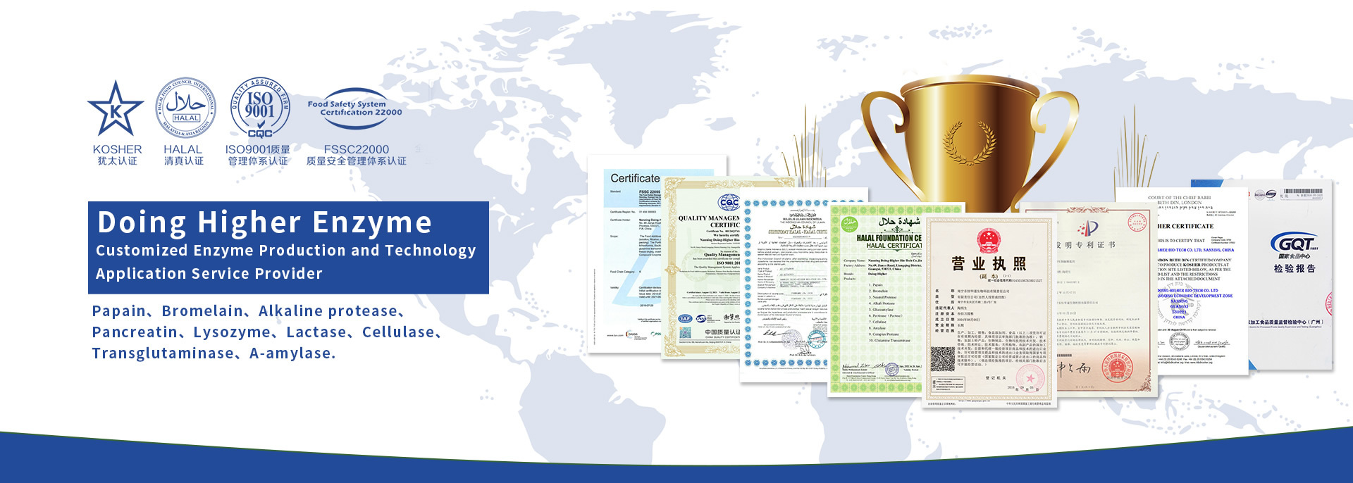 qualità proteasi fabbrica