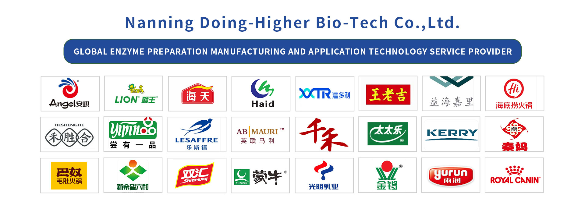 qualità proteasi fabbrica
