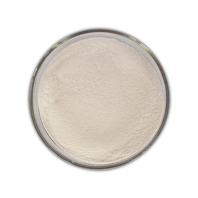 Baking Industry Enzymes 100000U/G Amylase Enzyme For Bread
