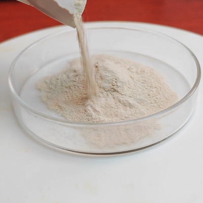 2000u/g Pancreatin Protease Manufacturers fully Soluble In Water Customized Food Grade