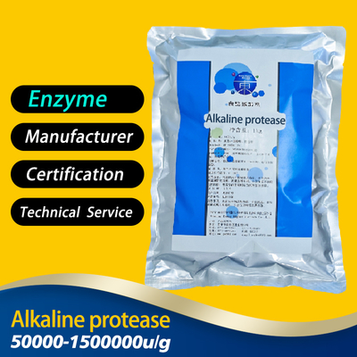 Alkaline Protease Powder 50000u/g-1500000u/g  Customized Food Grade&pharmaceutical Grade Customized Enzyme Activity Specifications