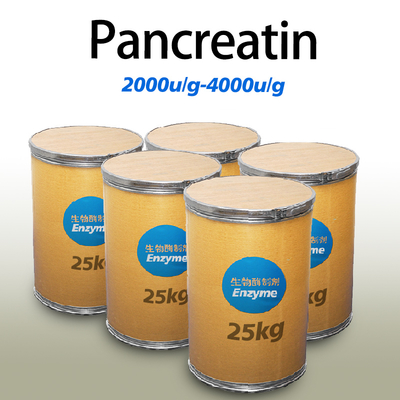 proteolytic enzymes in pancreatic juice 10000 Protease manufacturers enzyme preparations have price advantages