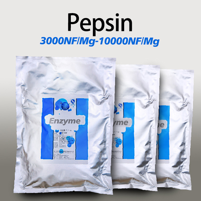 3000NF/Mg pepsin protease Powder like, customized food grade&pharmaceutical grade
