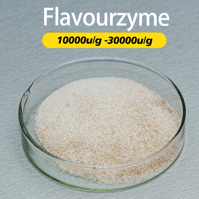 Hydrolysis To Remove Bitterness Flavourzyme Enzyme Used For Food Processing