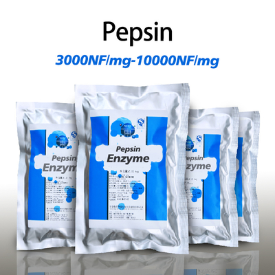 Water Soluble Pepsin Proteolytic Enzyme 10000NF/Mg For Protein Hydrolysis