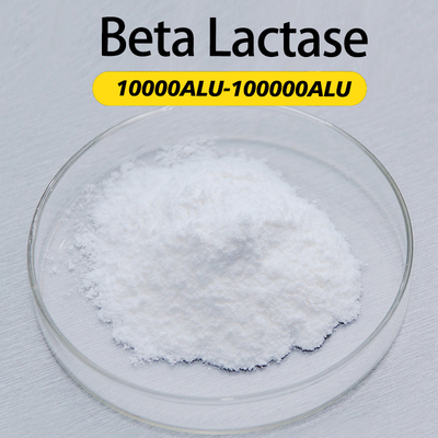 10000ALU-100000ALU Alpha Galactosidase Enzyme Foods Customized Enzyme Activity