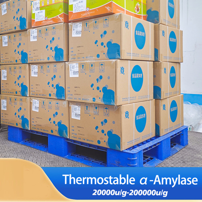 high amylase starch 200000u/G Alpha Amylase Protease manufacturer providing enzyme preparation sample