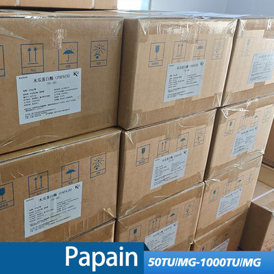 Application of papaya papain in Food health and  Pharmaceutical products