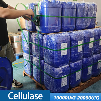 commercial cellulase use in industry of animal feed and food customized food grade&pharmaceutical grade
﻿