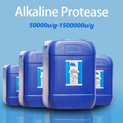 Food grade enzyme alkaline protease for Protein degradation and food 