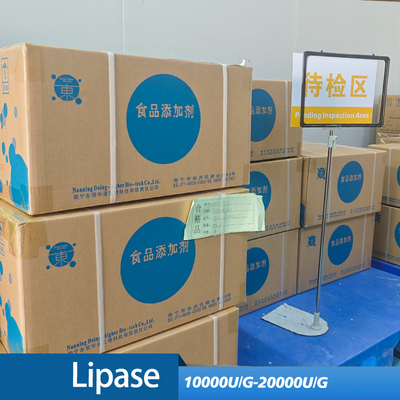 lipase for cheese making use in industry of Bread baking and sweet essence