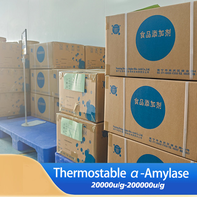 thermostable alpha amylase use in brewing Starch processing fermentation and feed