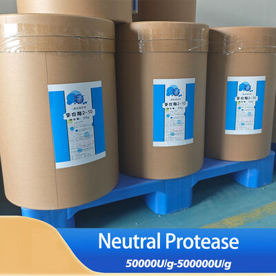 Neutral ProtNeutral Protease in The Food Industry enzymatic hydrolysis technology guidance