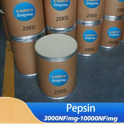 acid pepsin 10000NF use in industry of Pharmaceutical raw and Food Processing