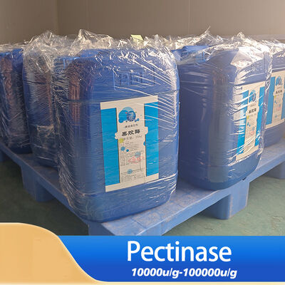 pectinase in fruit juice production wine plant extraction  and paper making