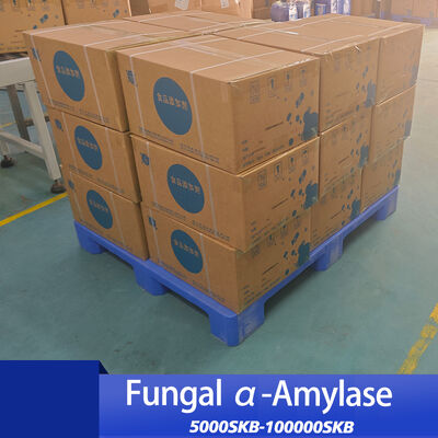 Fungal Alpha Amylase enzyme 100000SKB used in bread making Beer brewing and dairy products