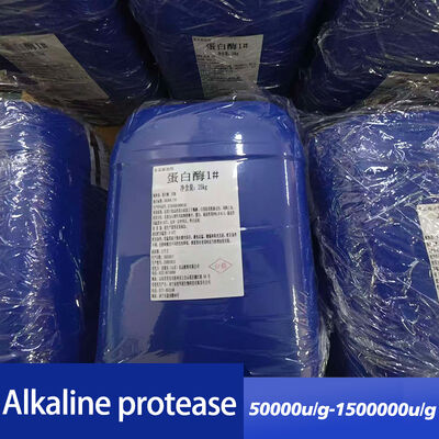 Alkaline Protease for detergent  Enzyme preparation sample testing