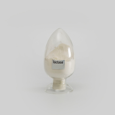 10000ALU-100000ALU Lactase Protease Powder Like Soluble In Water