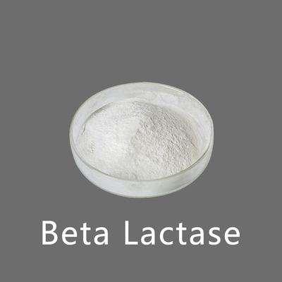 White Powder Like Beta Lactase Enzyme In Milk 10000ALU-100000ALU
