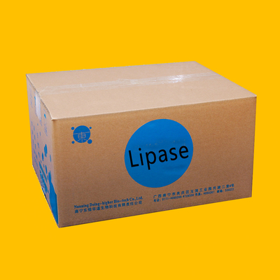 20000U/G Lipase Breaks Down Fats For Food & Baking Processing