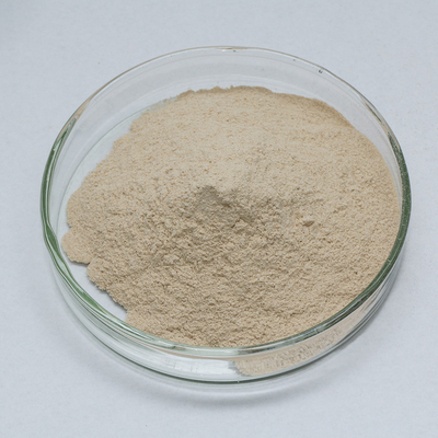 Feed Grade Liquid Protease Enzyme Alkaline Protease 2.4L Customized Food Grade