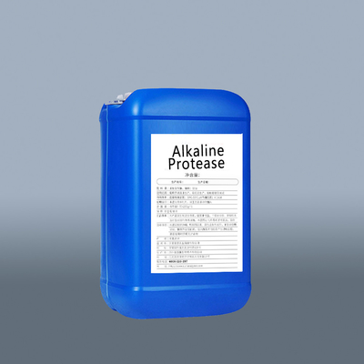 Proteolytic Foods Alkaline Protease 300000u/G For Protein Feed And Medicine
