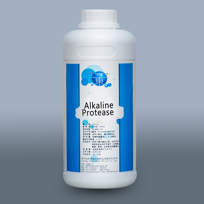 2.4L Protease Enzyme In Food Industry Providing Enzyme Preparation Sample