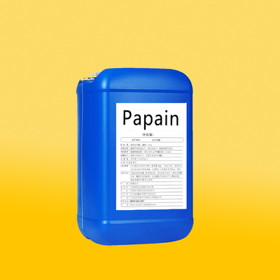 2400000U/G Liquid Papain CAS 9001-73-4 White Powdery Substance Soluble In Water