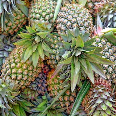 100000U/G-1200000U/G Bromelain And Papain Fully Soluble In Water Providing Enzyme Preparation Sample