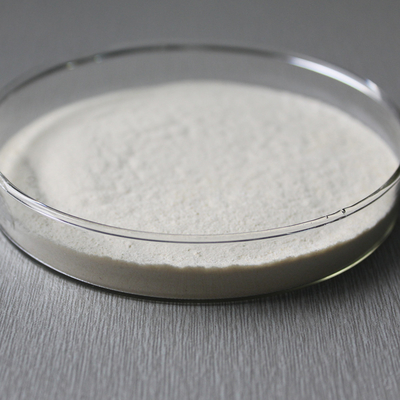 Food Grade Transglutaminase Enzyme 1000U/G Providing Enzyme Preparation Sample Minimum Order 1kg