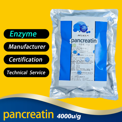 Pancreatin 2000u/g Proteolytic Enzymes In Pancreatic Juice Providing Enzyme Preparation Sample Powder Like Fully Soluble In Water