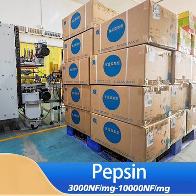 3000NF/Mg Gastric Protease Pepsin Powder For Drug And Health Product Production