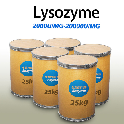 Feed Enzymatic Hydrolysis Technology Lysozyme In Cheese For Food Preservation , Medicine