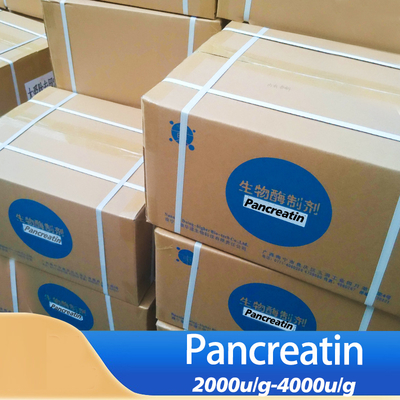Powder Like Pork Pancreas Enzymes 2000u/G-4000u/G Fully Soluble In Water