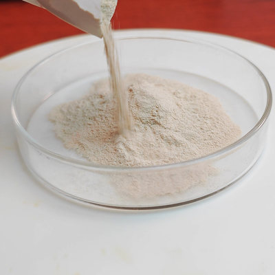 Powder Like Pork Pancreas Enzymes 2000u/G-4000u/G Fully Soluble In Water
