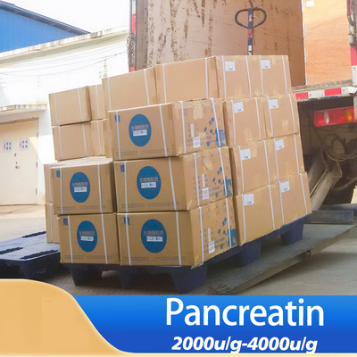 Pancreatin 2000 Pancreatin Raw Materials For Drugs And Health Product Production