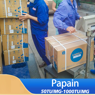 300USP-6000USP Liquid Papaya Enzyme Papain Powder Customized providing enzyme preparation sample