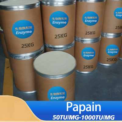 60000U/G-2400000U/G Papain Protease Enzyme Activity Customized