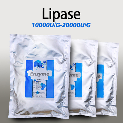 Food Baking Lipase Powder Customized Lipase Enzyme Powder Soluble In Water