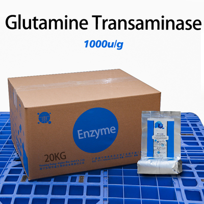 Grilled Sausage Processing Glutamine Transaminase Enzyme 1000U/G Providing Enzyme Preparation Sample