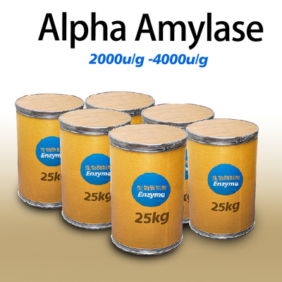 alpha amylase in food industry 4000U/G amylase manufacturer providing enzyme preparation sample minimum order 1kg