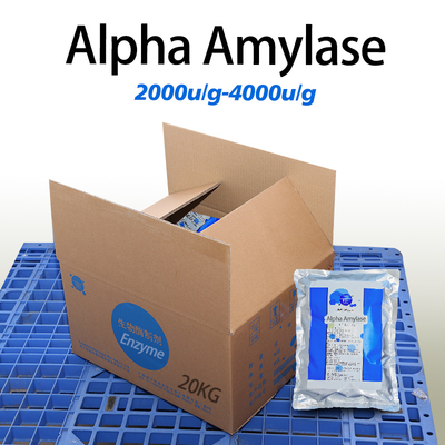 Medium Temperature Alpha Amylase Soluble In Water Amylase Powder