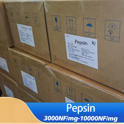 High-purity pepsin Powder used to hydrolyze protein into smaller polypeptides and free amino acids