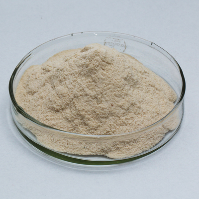Neutral Protease in The Food Industry Used for protein feed and medicine providing enzyme preparation sample