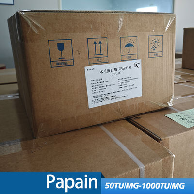Refined Papain powder 6000USP use in industry of food medicine