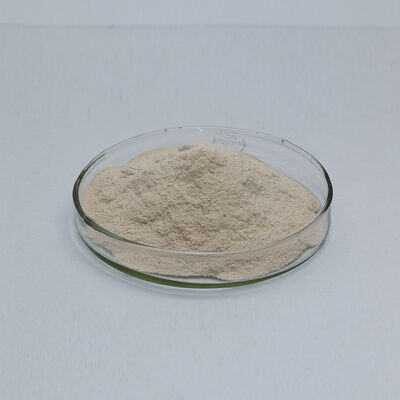 Industrial Grade & Food Grade alcalase protease Used for food and feed processing