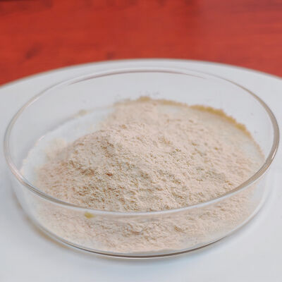 acid pepsin 10000NF use in industry of Pharmaceutical raw and Food Processing