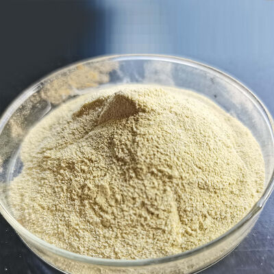 Fungal Alpha Amylase enzyme 100000SKB used in bread making Beer brewing and dairy products