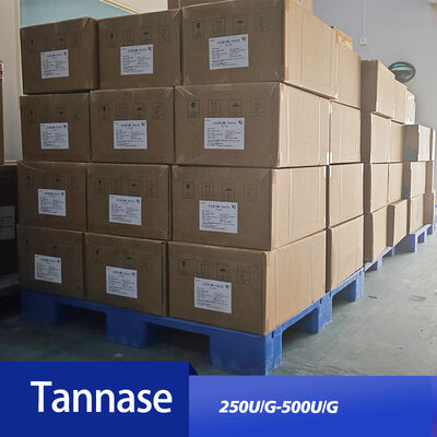 tannase 500U/G use in food and tea beverage  customizing enzyme activity specifications