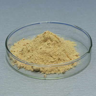 Glucose Oxidase 500U/G use in Food bread feed dairy products and medicine